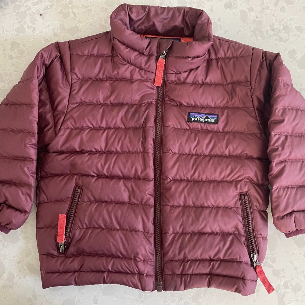 2T Patagonia Down Jacket
